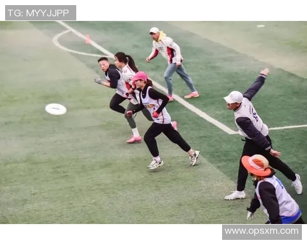 飞盘飞扬：武汉飞盘队的拼搏与梦想成长之路MBA